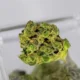 From Raw Plant to Psychoactive Experience: The Journey of THCA to THC