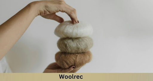 Exploring Woolrec: The Future of Sustainable Wool Solutions