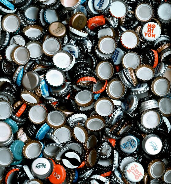 The Ultimate Guide to Pappedeckel Features, FAQs, and Performance Calculations