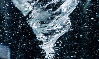 Primo Water: A Complete Guide (With FAQs and Cost Calculations)