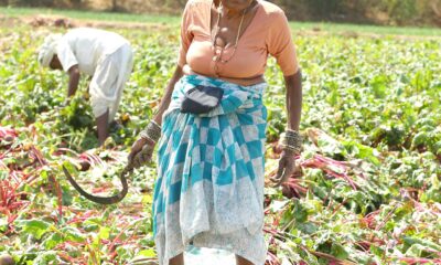 Microdisha: A Complete Guide (With Calculations & FAQs)