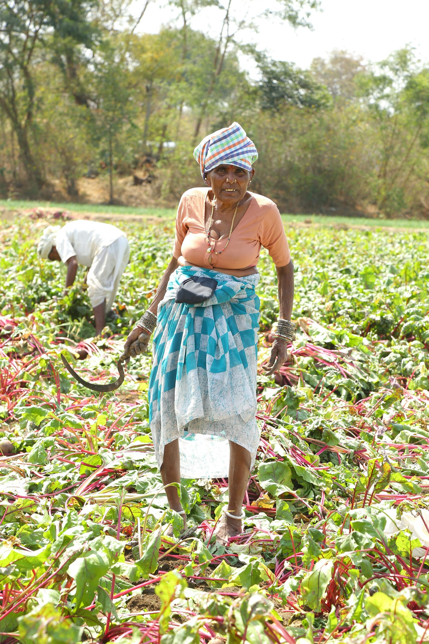 Microdisha: A Complete Guide (With Calculations & FAQs)