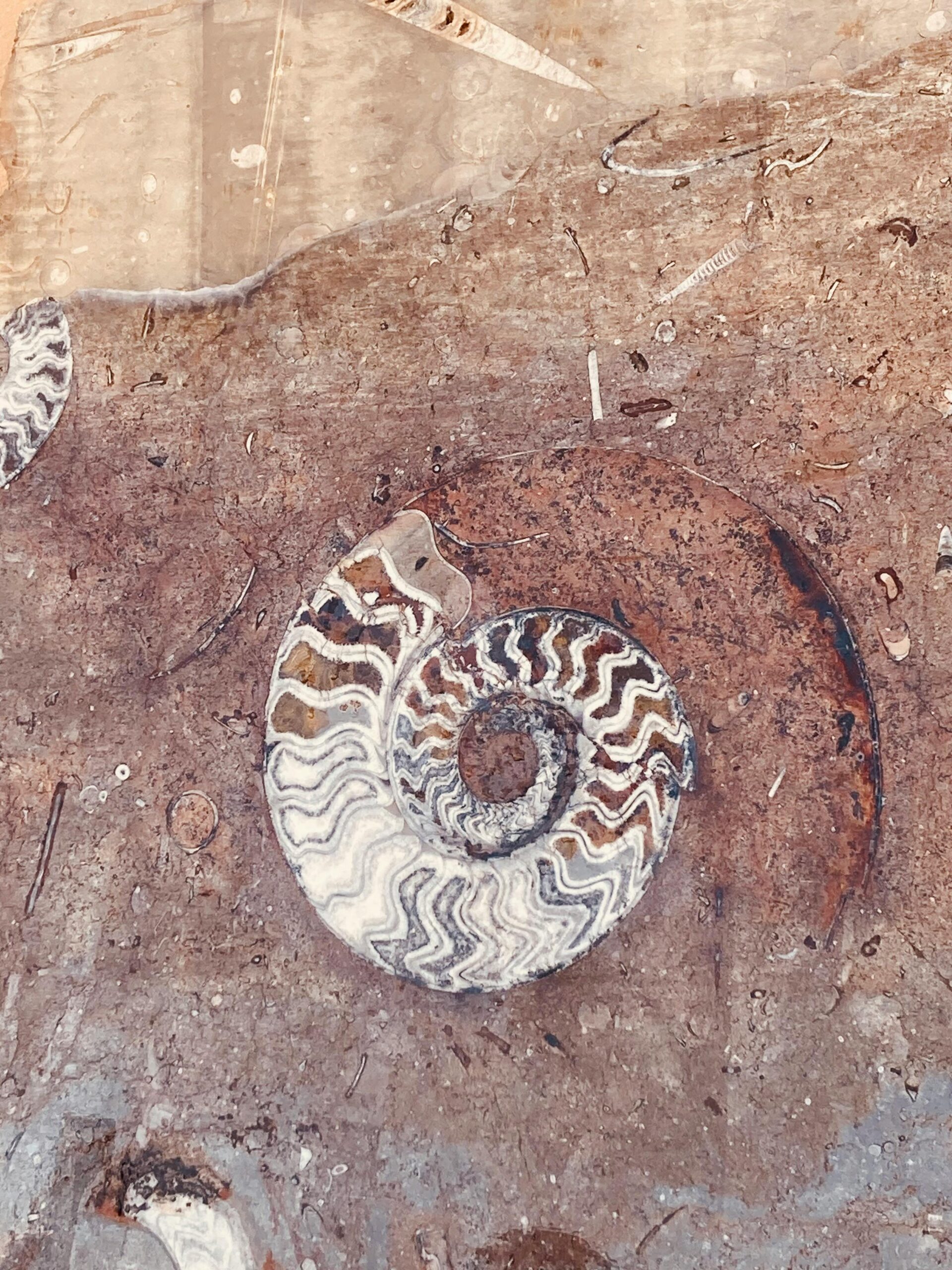 Spirosona: Uses, Benefits, Dosage, and FAQs