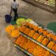 Publix: A Complete Guide to the Popular Supermarket Chain