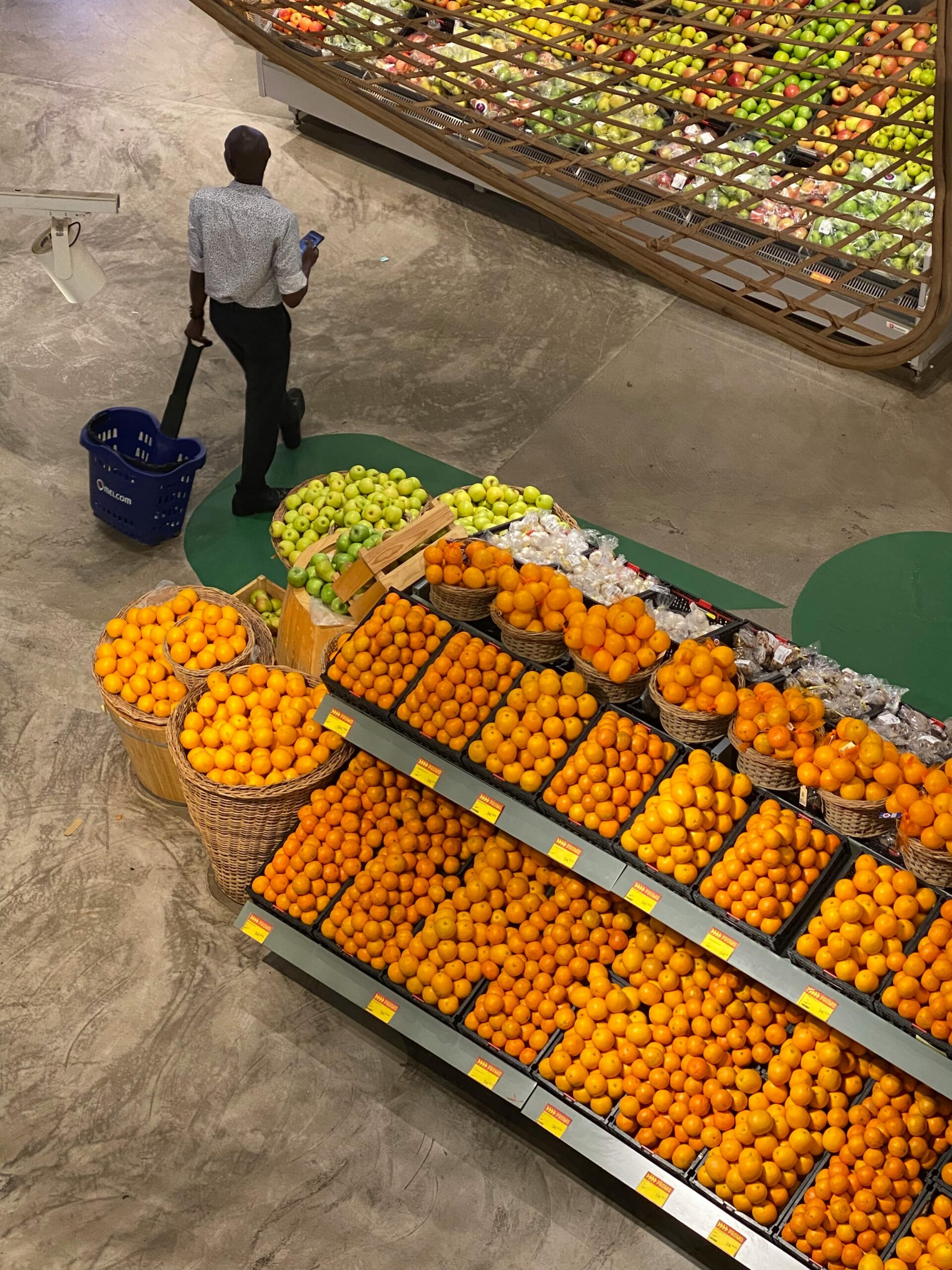 Publix: A Complete Guide to the Popular Supermarket Chain