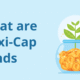 In the world of mutual funds, investors are often faced a classic dilemma:Which market segment will perform next year?Will it be the safe, established Large...