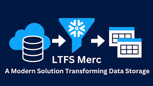 MERC LTFS: Transforming Microfinance Through Digital Innovation
